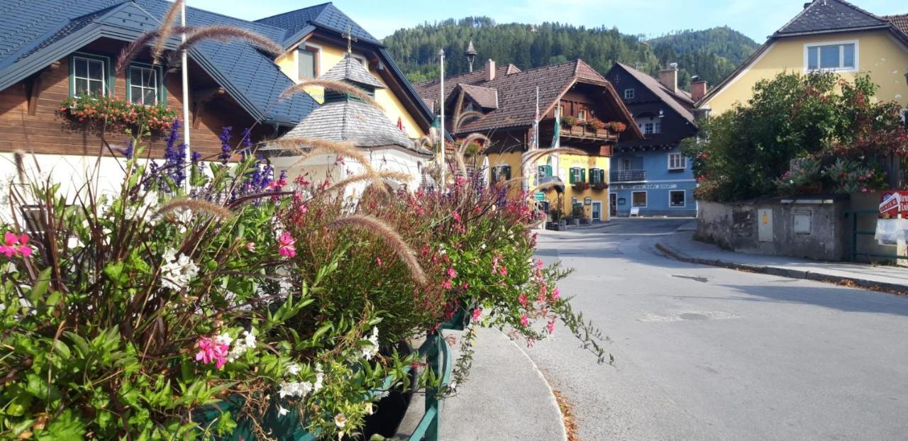 Haus Danklmaier Vila Oblarn Exterior foto